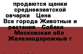 продаются щенки среднеазиатской овчарки › Цена ­ 30 000 - Все города Животные и растения » Собаки   . Московская обл.,Железнодорожный г.